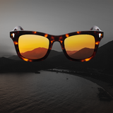 Zephyr Sunglasses | Brown Frames & Brown Lenses